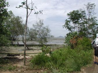 Enlarge photo 218