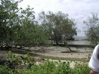 Enlarge photo 220
