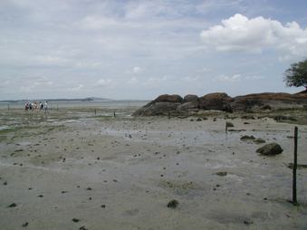 Enlarge photo 229