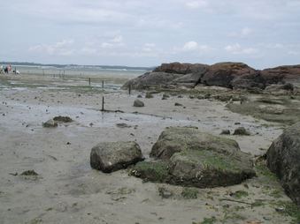 Enlarge photo 231