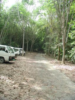 Enlarge photo 244