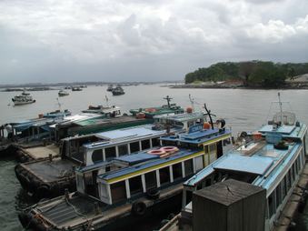 Enlarge photo 245