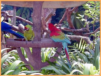 Enlarge photo 95