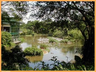 Enlarge photo 97