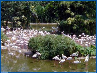 Enlarge photo 99