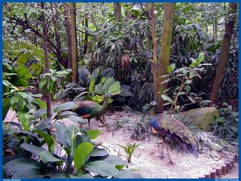 Enlarge photo 102