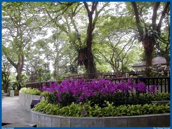 Enlarge photo 103