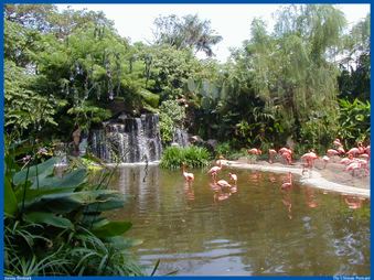 Enlarge photo 104