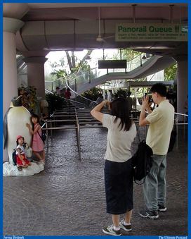 Enlarge photo 105