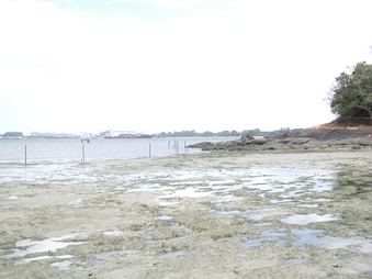 Enlarge photo 131