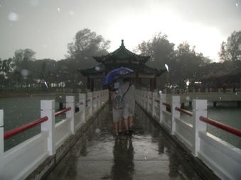 Enlarge photo 134