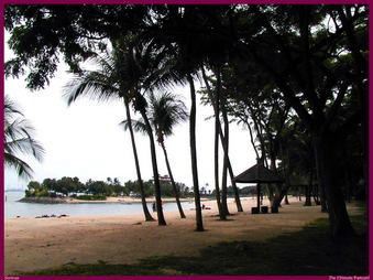 Enlarge photo 113