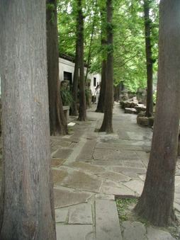 Enlarge photo 106
