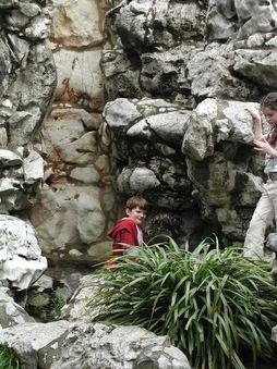Enlarge photo 91