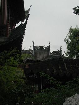 Enlarge photo 67