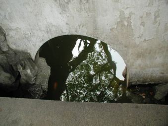 Enlarge photo 62