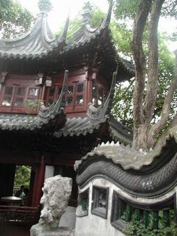 Enlarge photo 24