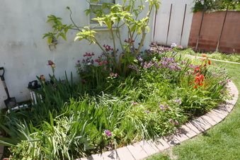 Enlarge photo 1