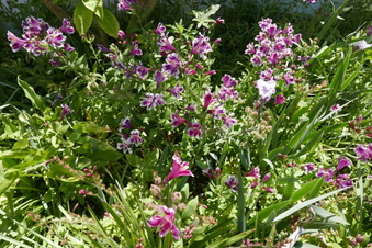 Enlarge photo 2