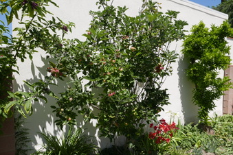 Enlarge photo 4