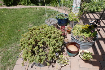 Enlarge photo 9