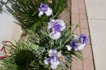 Enlarge photo 11
