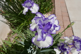 Enlarge photo 12