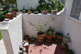 Enlarge photo 13