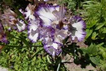 Enlarge photo 14