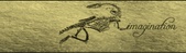 Enlarge photo 145