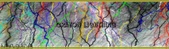 Enlarge photo 151