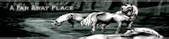 Enlarge photo 172