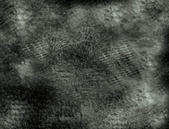 Enlarge photo 43