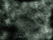 Enlarge photo 44