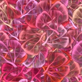 Enlarge photo 76