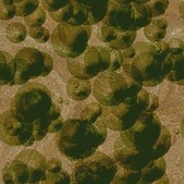 Enlarge photo 41