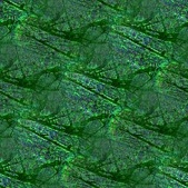 Enlarge photo 63