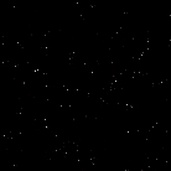 Enlarge photo 83