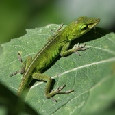Enlarge photo 20