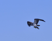 Enlarge photo 28
