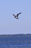 Enlarge photo 46