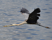 Enlarge photo 39