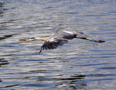 Enlarge photo 40