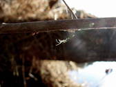 Enlarge photo 87