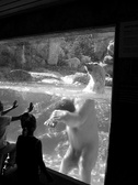 Enlarge photo 75