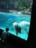 Enlarge photo 78