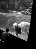 Enlarge photo 79