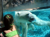 Enlarge photo 80