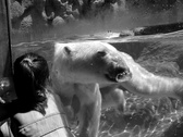 Enlarge photo 81