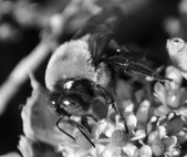 Enlarge photo 118